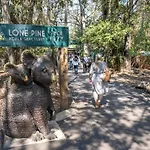 Bird And Leaf Cottage