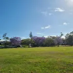 Welcome To Your Leafy Retreat In Graceville!