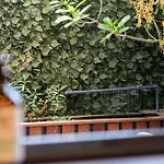 Chic West End Apartment Steps To Cafes & River