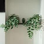 Walk To South Brisbane & Convention Centre