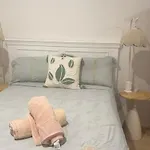 Granadilla St 超大独立附属公寓g4