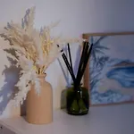 Self Contained 1Br Near Pinelands Centre