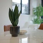 Holiday home 1em Abnb-style 5br, 2 Parking-patio, 5 Mins To Westfield Brisbane
