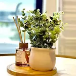 2Br Boutique Apartment Only Mins To Suncorp Stadium & Bne City