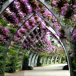 Comfy 1Bed And 1 Futon Studio In Heart Of City