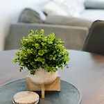 Cbd Luxury River View 1bed The One Apartment Brisbane