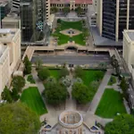 Cbd