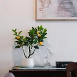 Modern 3br Near Uq, St Lucia * Brisbane