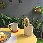A Perfect Place To Hide Away With River Side Charm Brisbane
