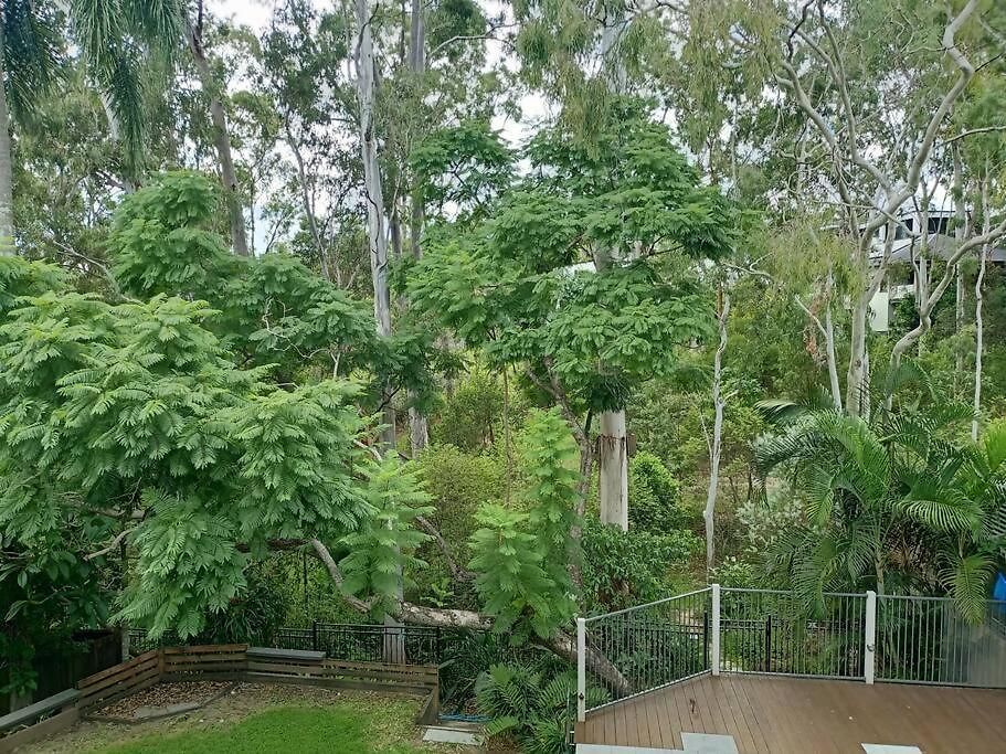 Adorable Private 2 Bedroom Guest + Pool Brisbane