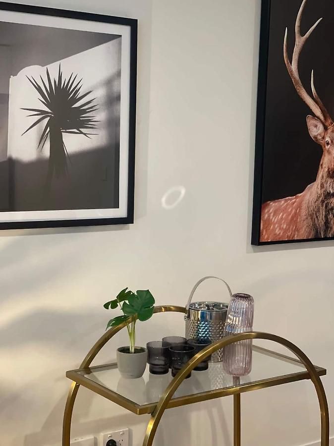 Cozy 3br Walking Distance To Goma Apartment *