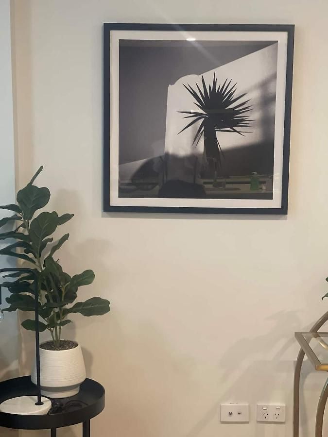 Cozy 3br Walking Distance To Goma Apartment *