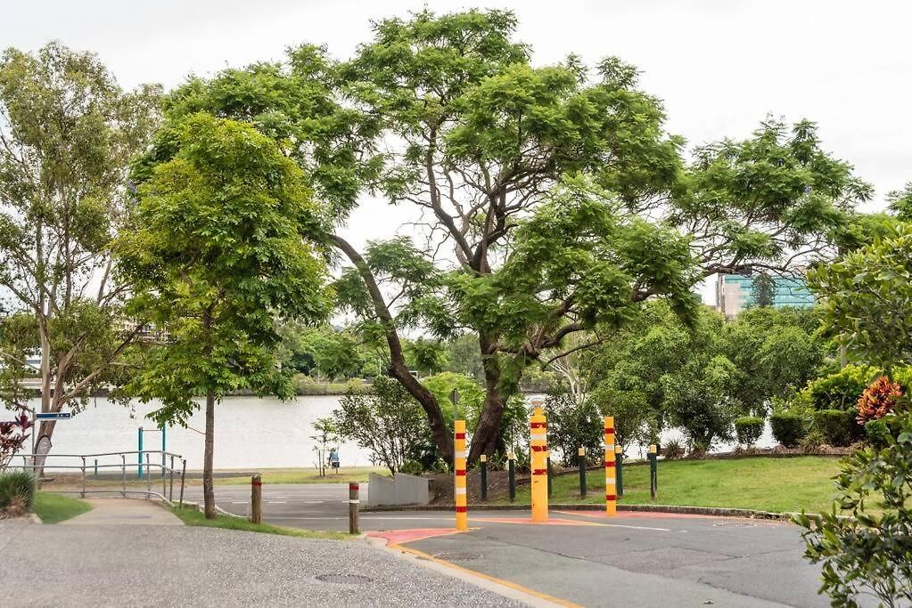 Apartment Westend 3 Bedroom Split Level Townhouse Next To River
