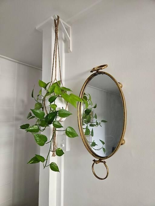 Apartment Prime Location: Just Steps Away From Oxford Street