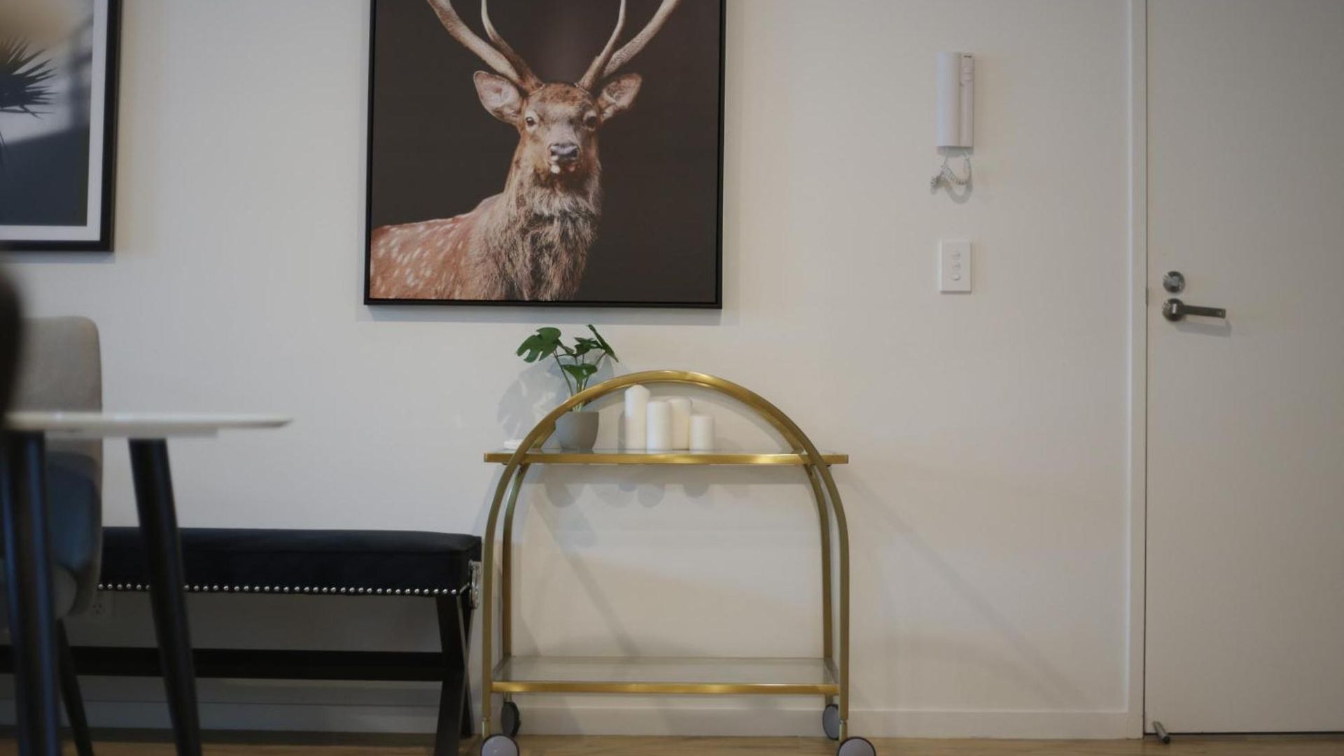 Cozy 3br Walking Distance To Goma Apartment *