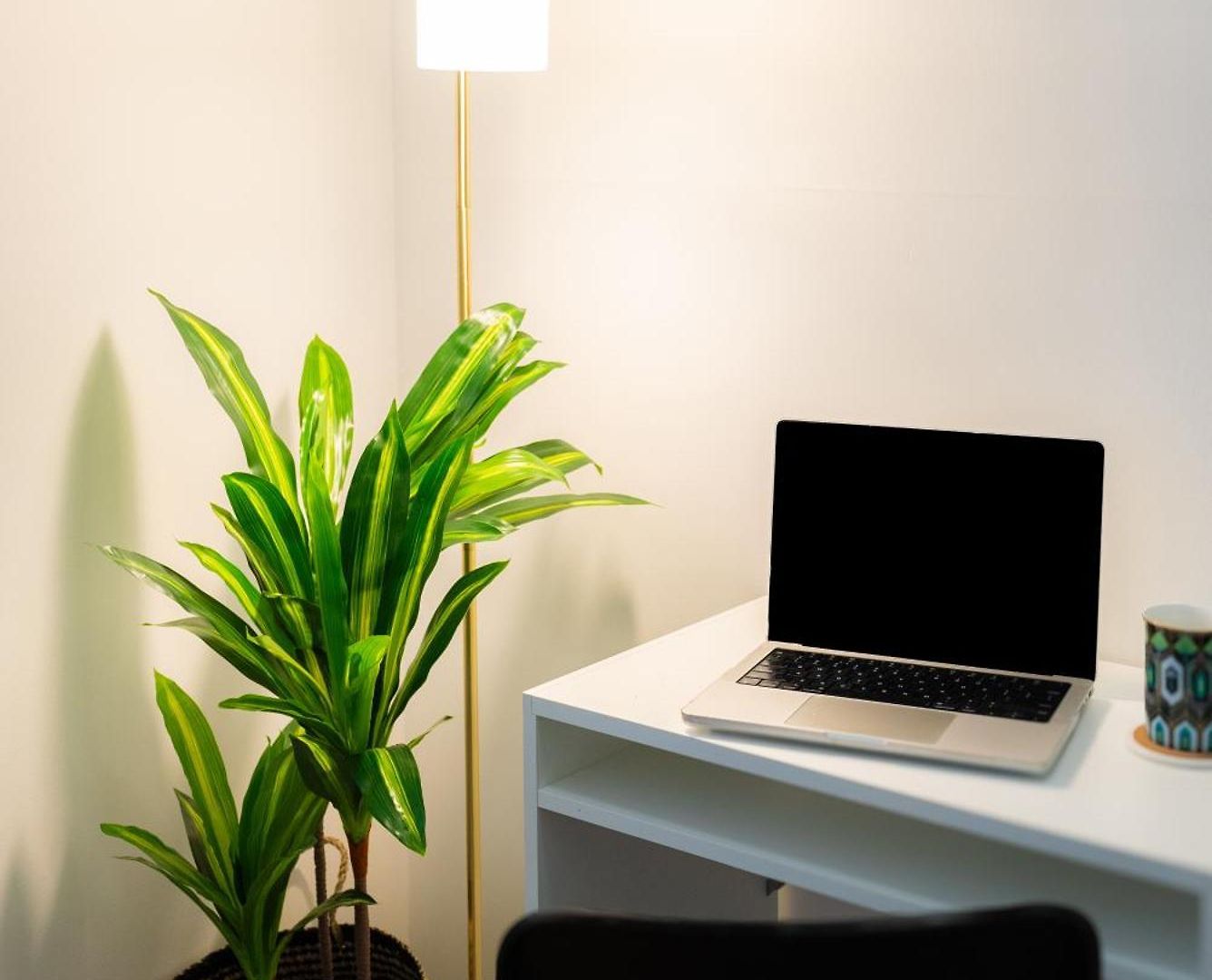 Apartment Balmoral - Airy & Light-filled Edge Comfort Brisbane