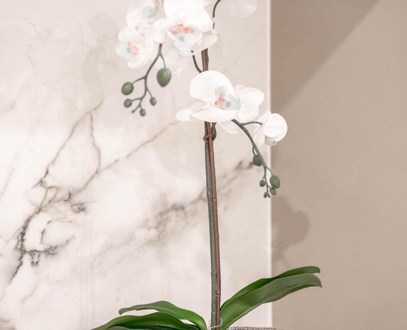 Apartment Urban Elegance 2b2b W Parking, Pool South M1 Brisbane