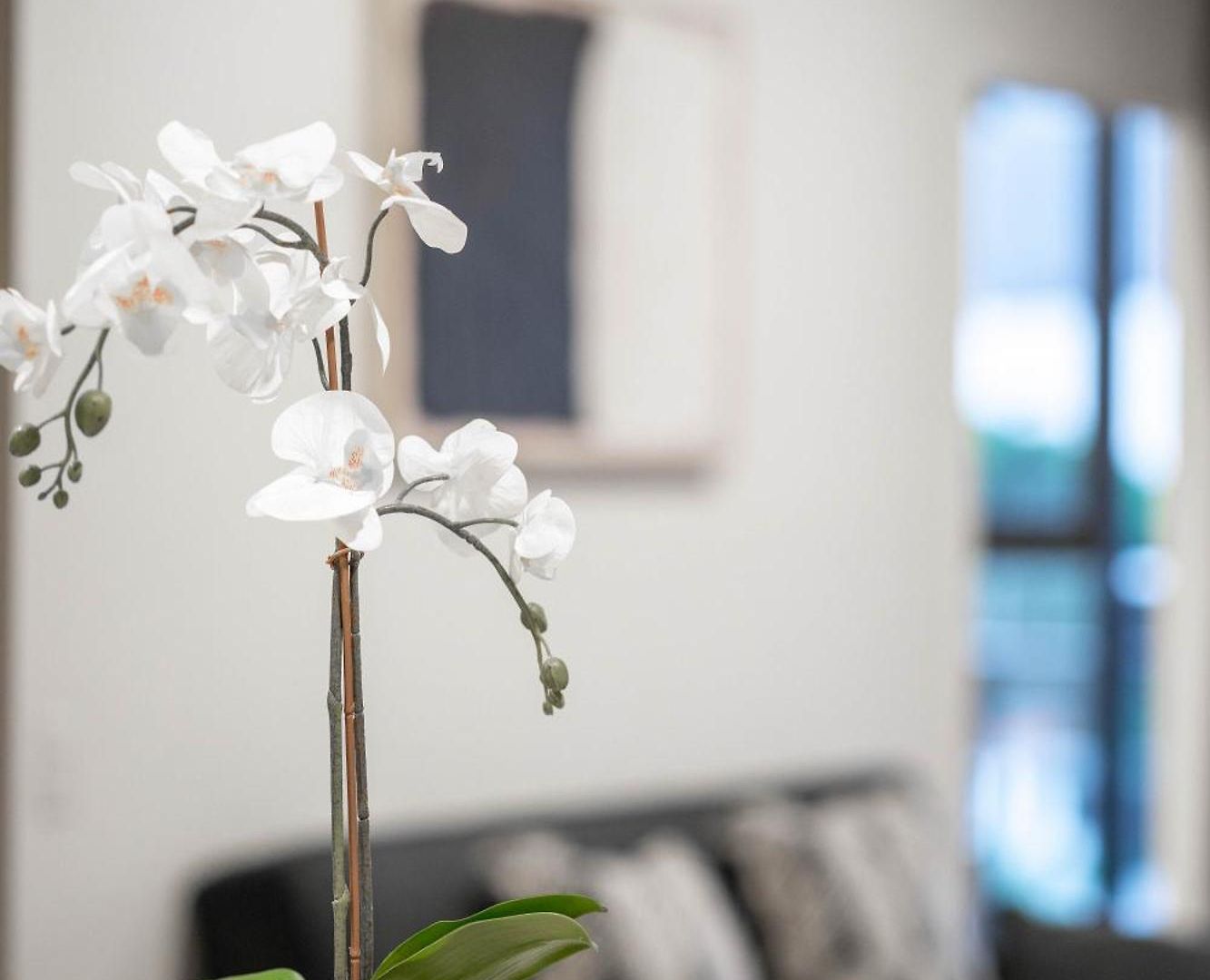 Urban Elegance 2b2b W Parking, Pool South M1 Brisbane