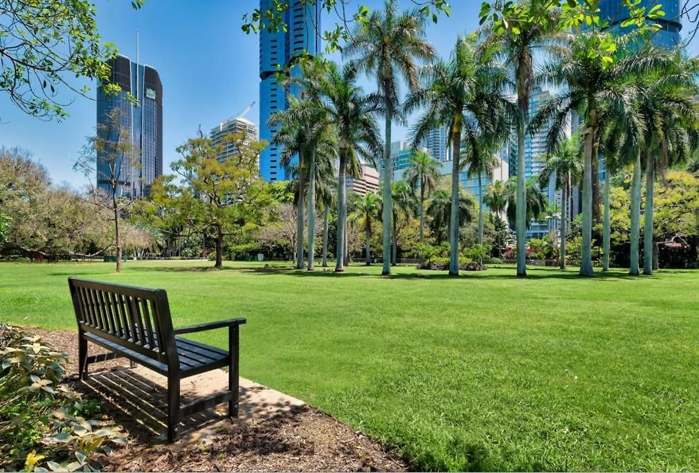 Apartment Stunning! 2bed, 1bath, 1car, Views - Cbd