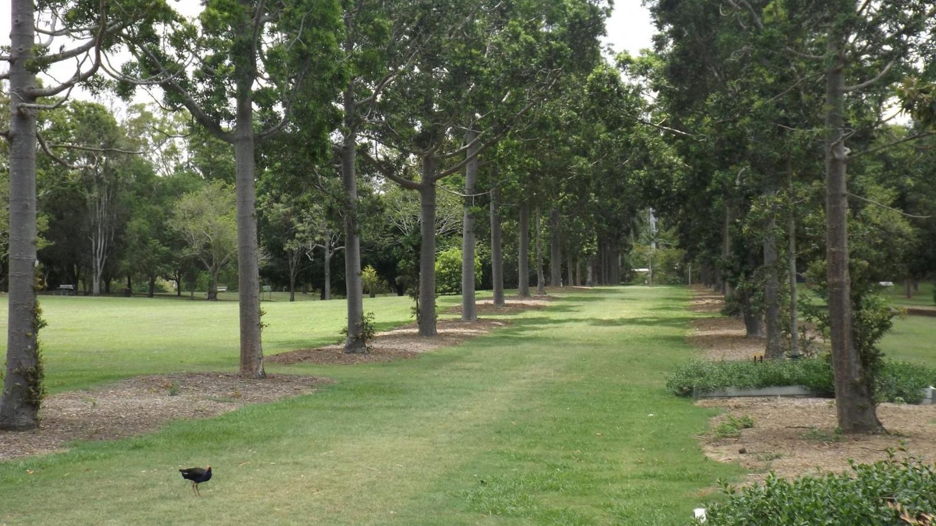 Spacious With Generous Entertaining * Brisbane