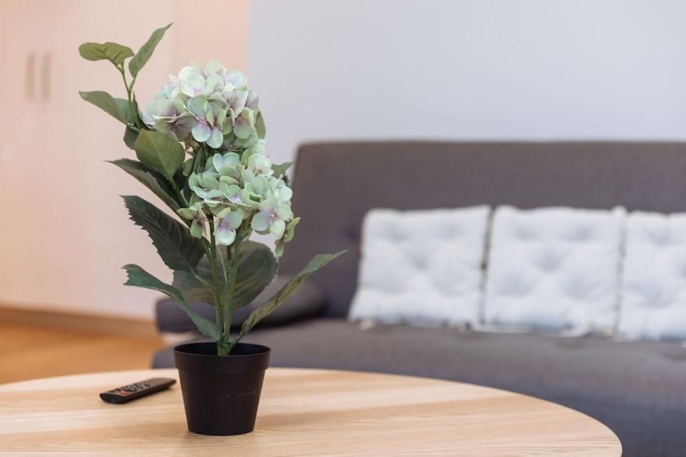 Apartment Modern 2br In The Heart Of South Brisbane