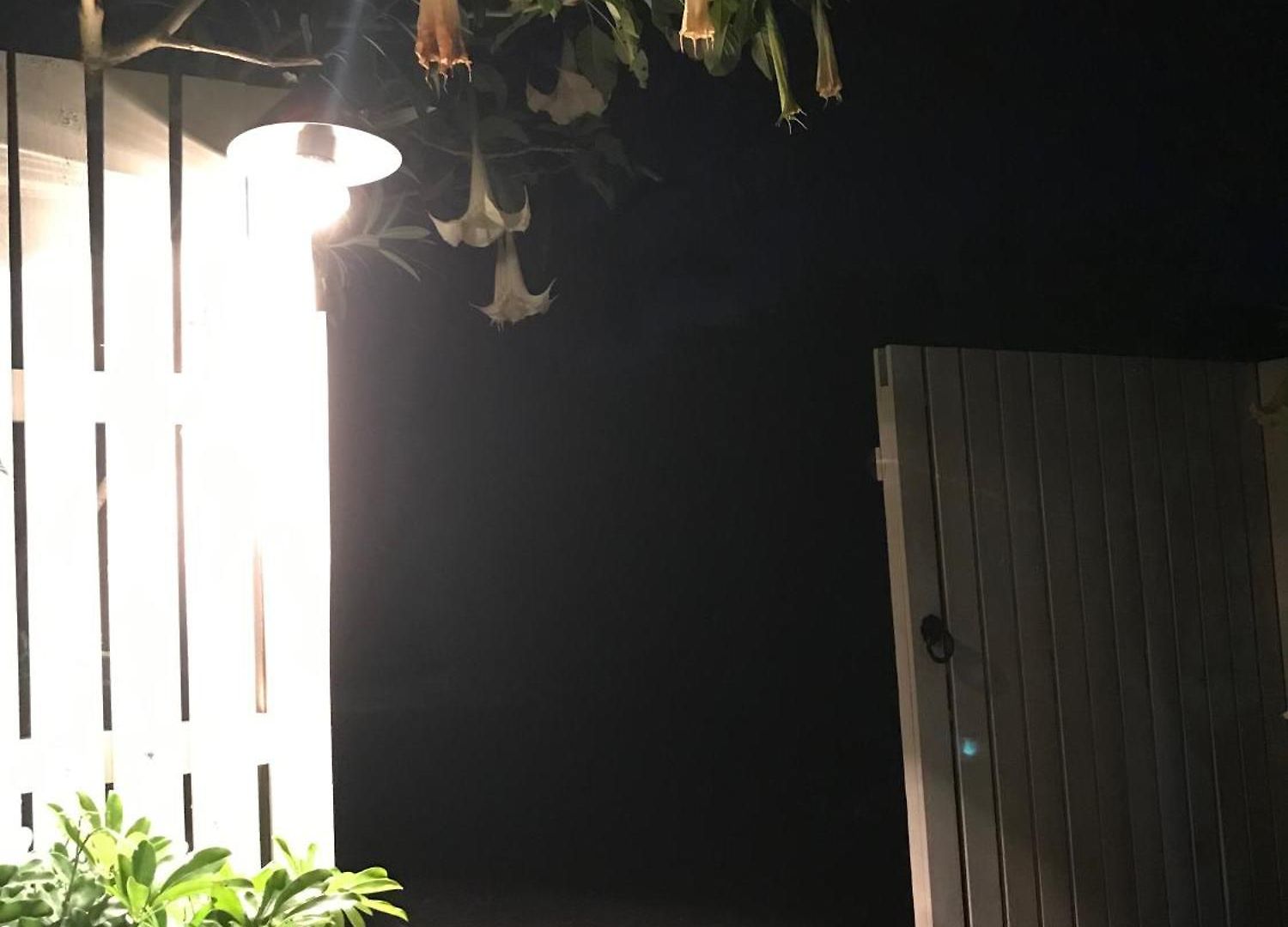 Jacaranda House Garden Apartment Brisbane
