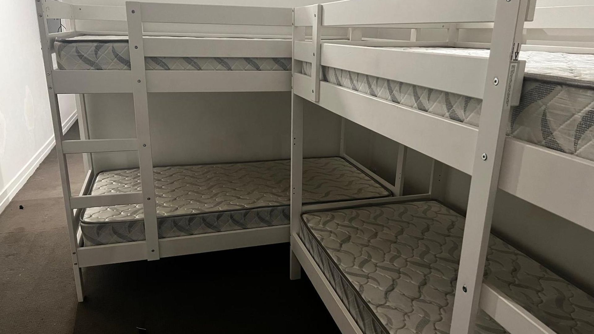 Hostel Palm Hamilton Backpacker Brisbane