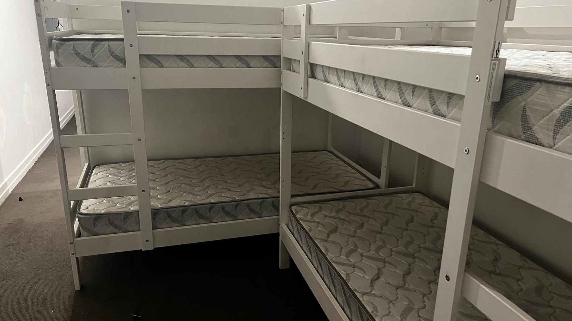 Hostel Palm Hamilton Backpacker