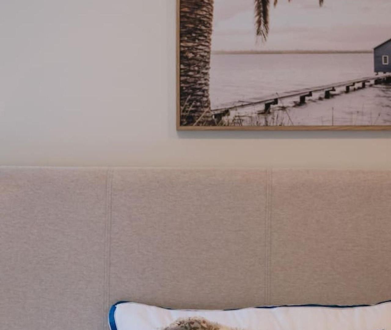 Modern 2b2b Only 10mins To Airport N Southbank * Brisbane