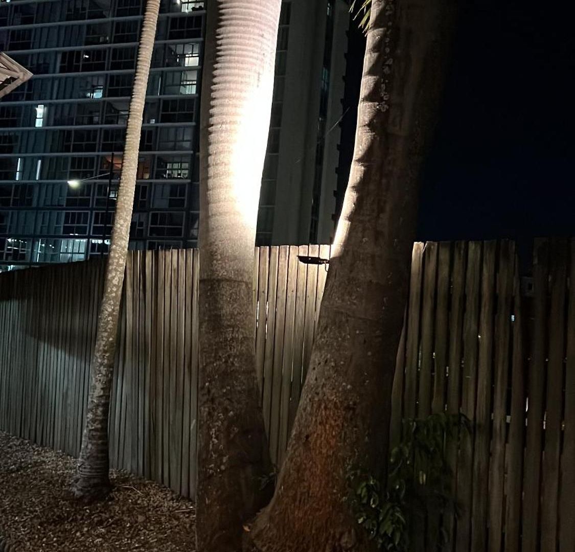 Palm Hamilton Backpacker Hostel Brisbane