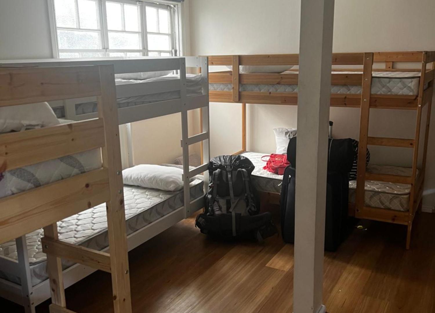 Hostel Palm Hamilton Backpacker *