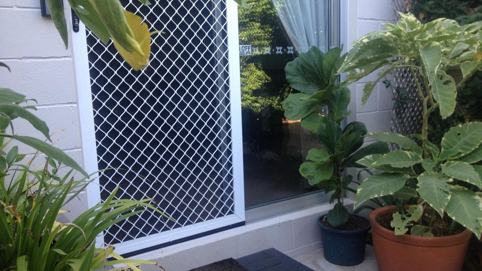 Apartment Jacaranda House Garden