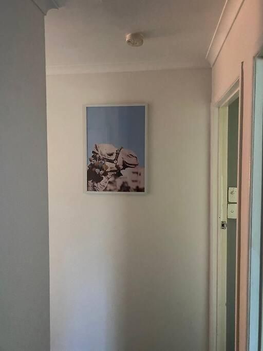 Apartment Family 3-bedroom Everton Hills