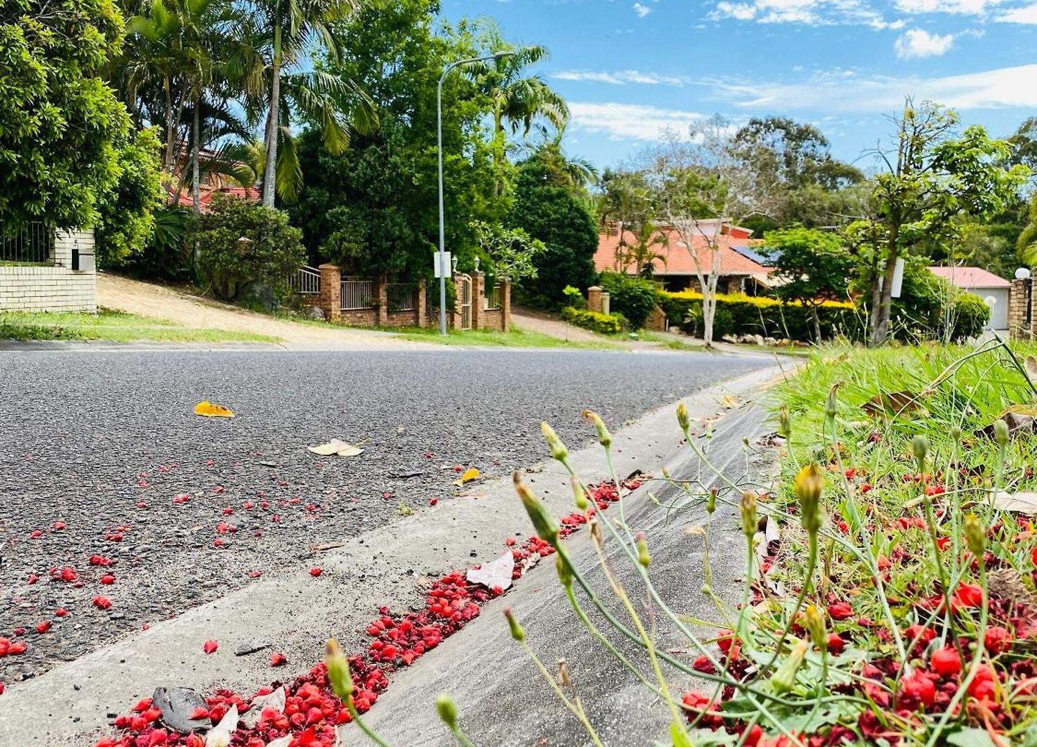 Garden Retreat House - Super Quite And Peace 闹中带静的理想住房 * Brisbane