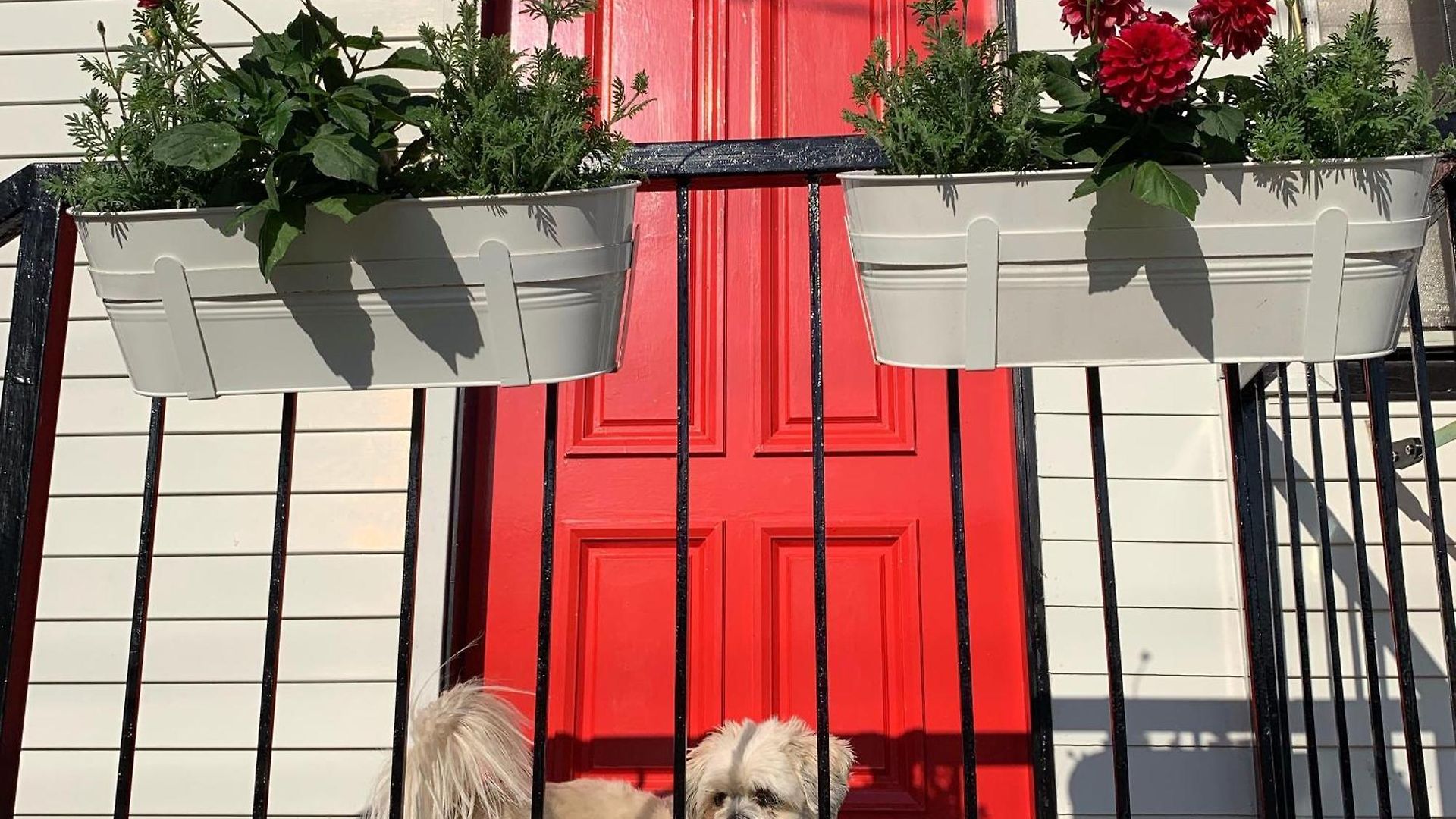 Apartment Family And Pet Friendly In Brisbane