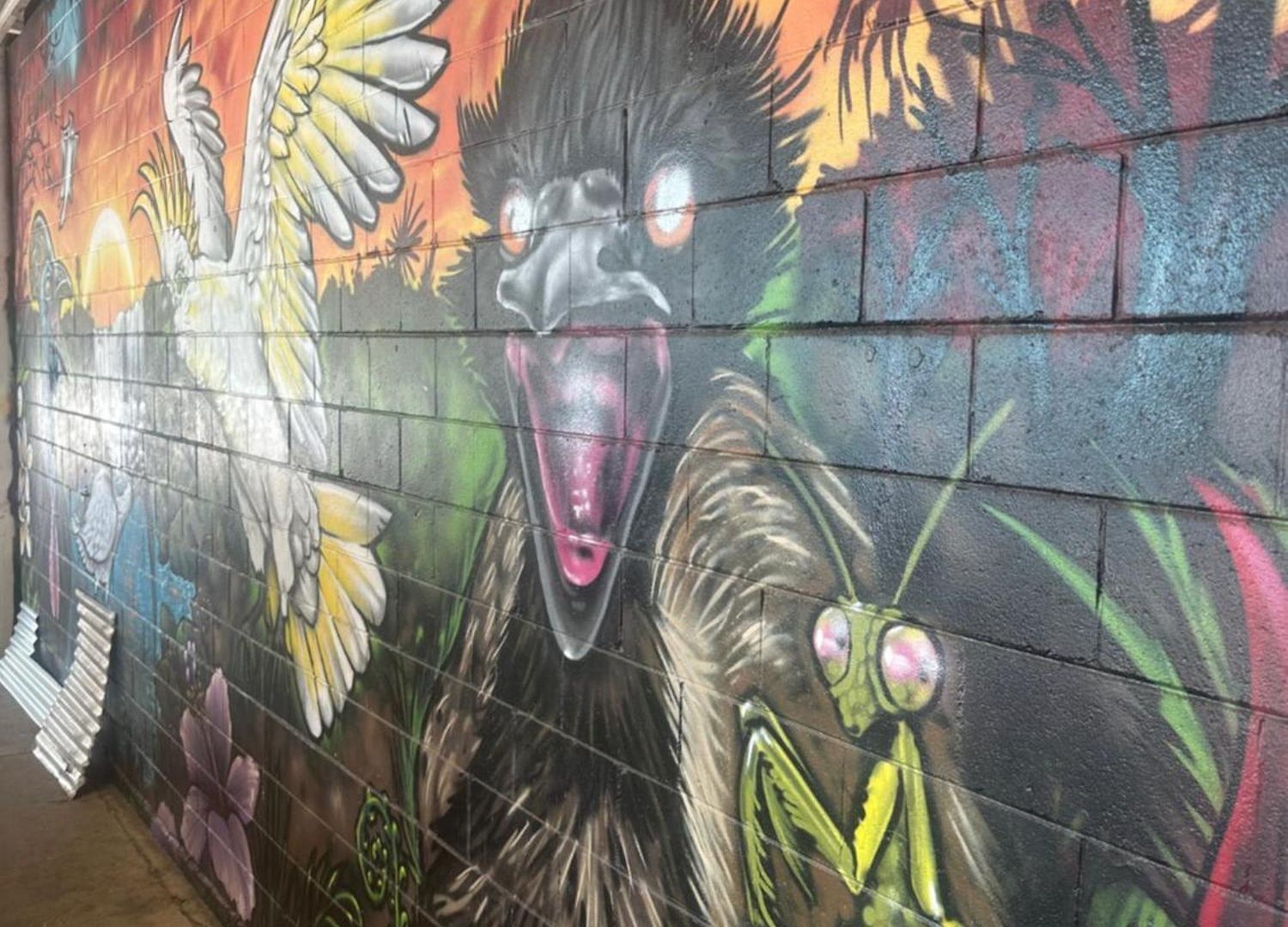 Habitat Backpackers Brisbane