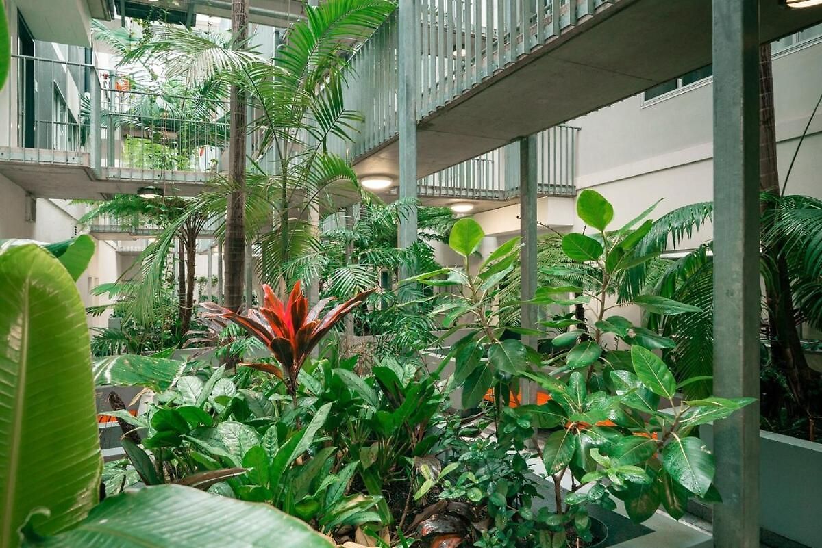 Apartment Valley Escape Boutique Brisbane