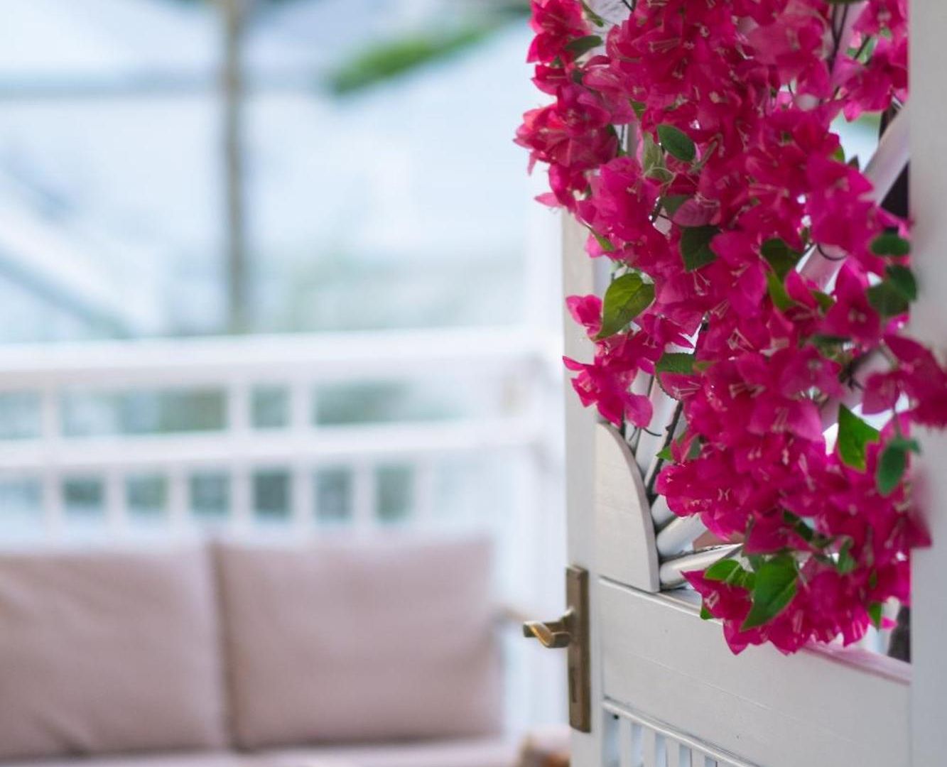 Bougainvillea