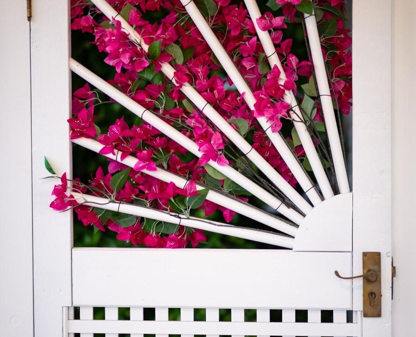 Bougainvillea Brisbane
