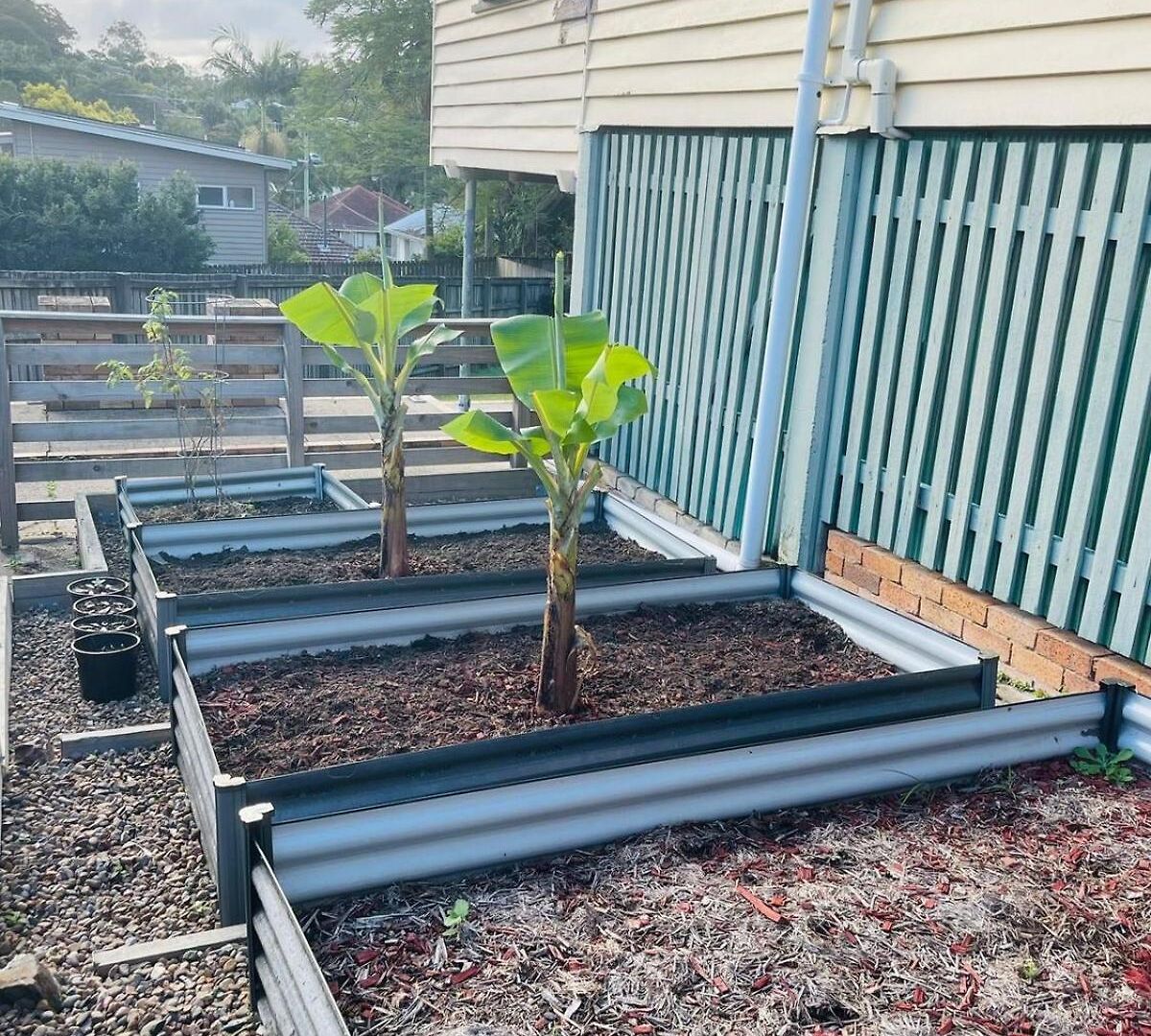 Cozy 4br Close To Schools & Shops&lookout Brisbane