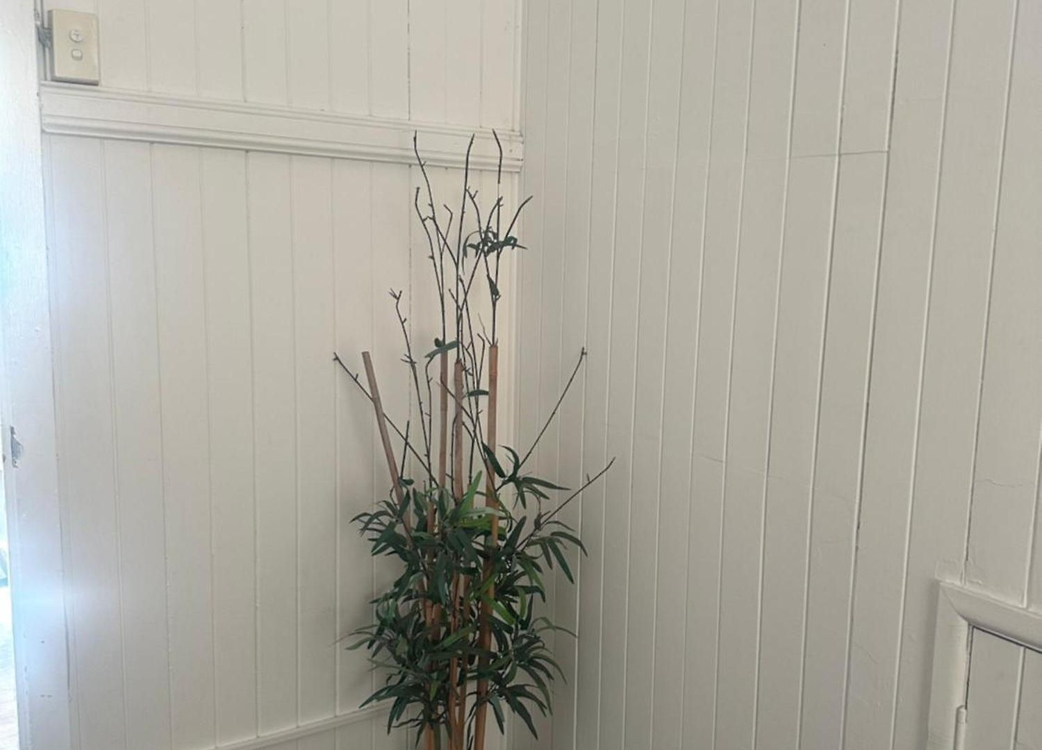 Melbourne Street, South Homestay