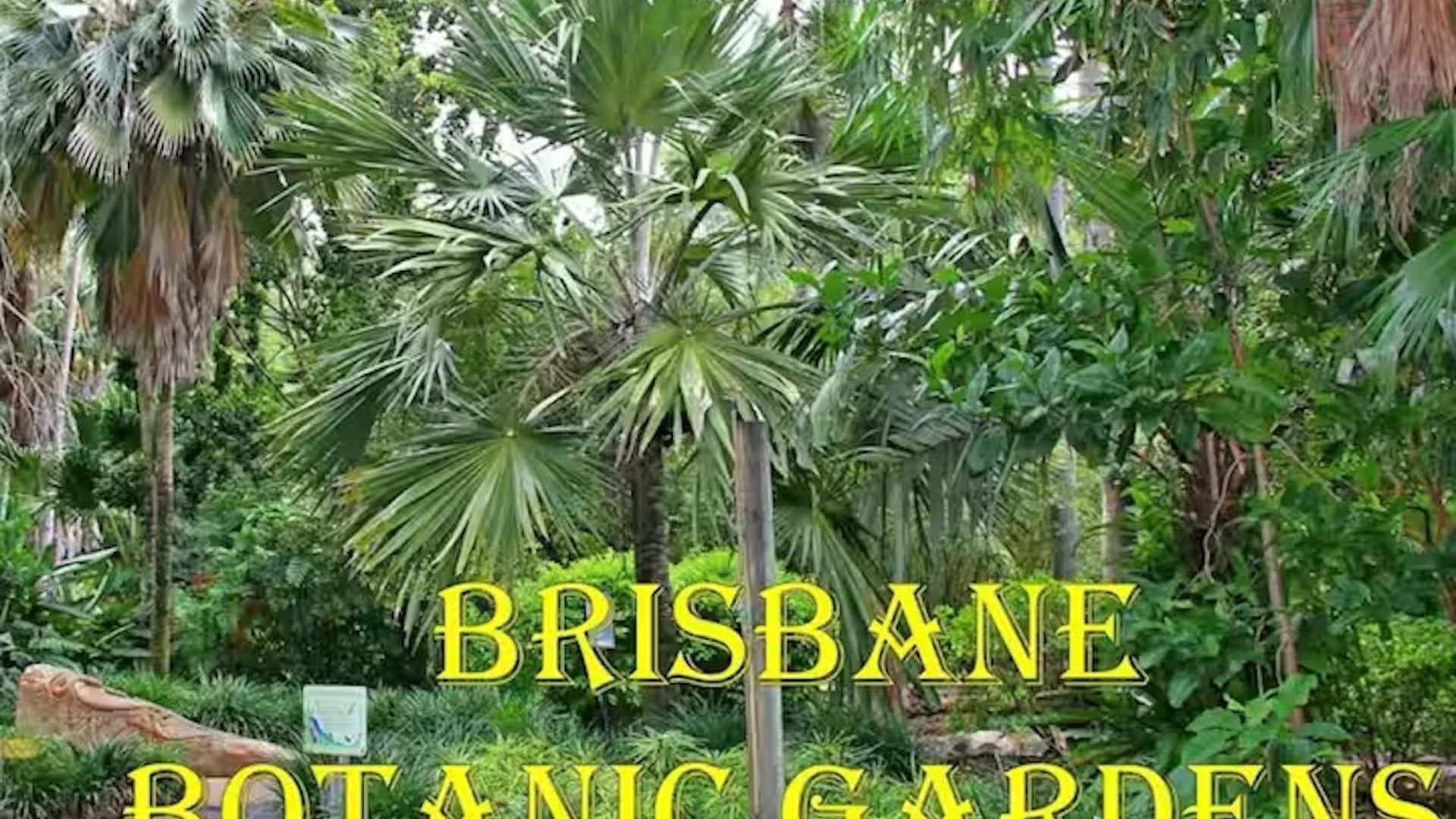 Park Avenue Luxe Chic Townhouse Sleeps 9, Carpark Villa Brisbane
