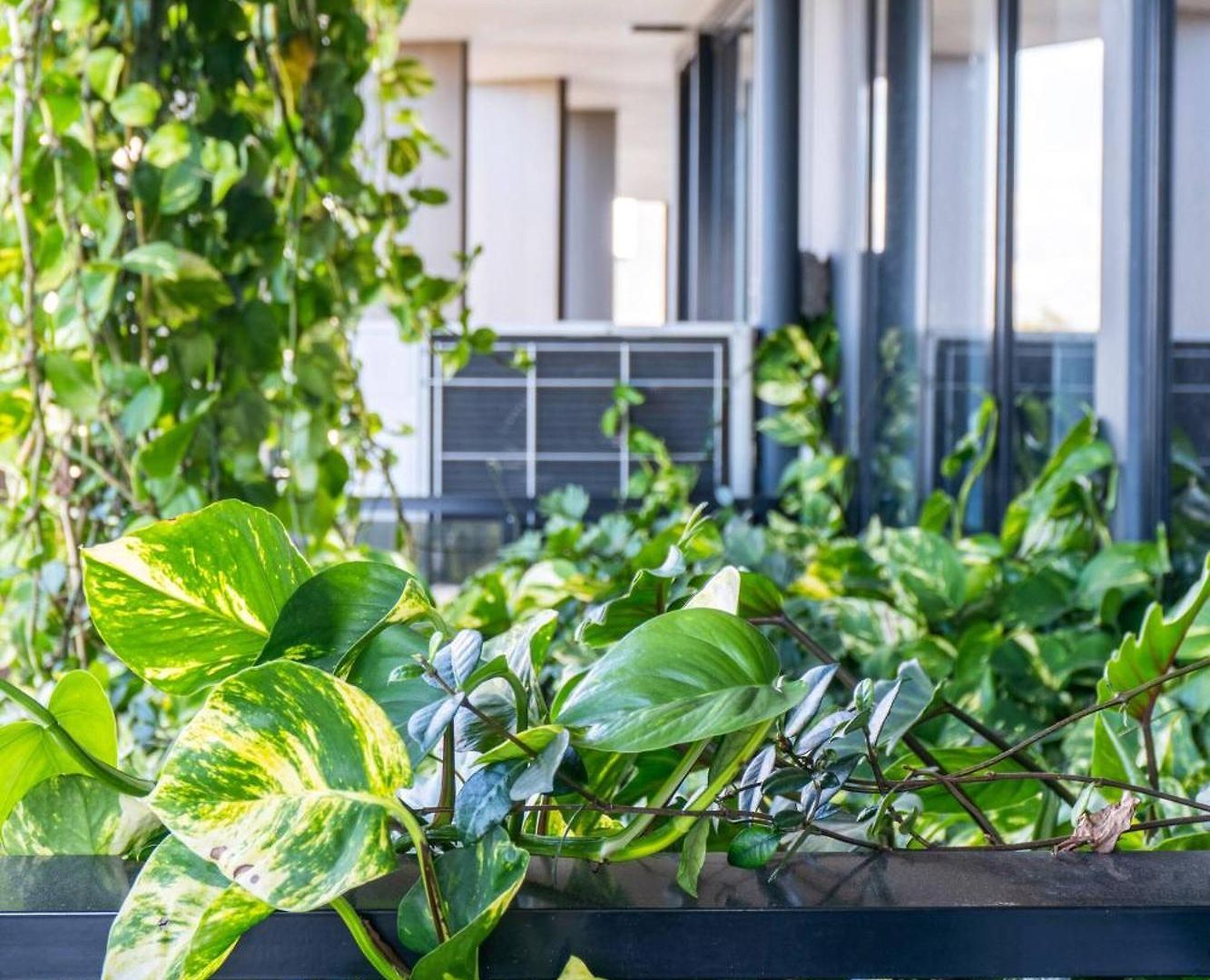 Urban Edge - Mins To Suncorp Stadium & Bne Apartment