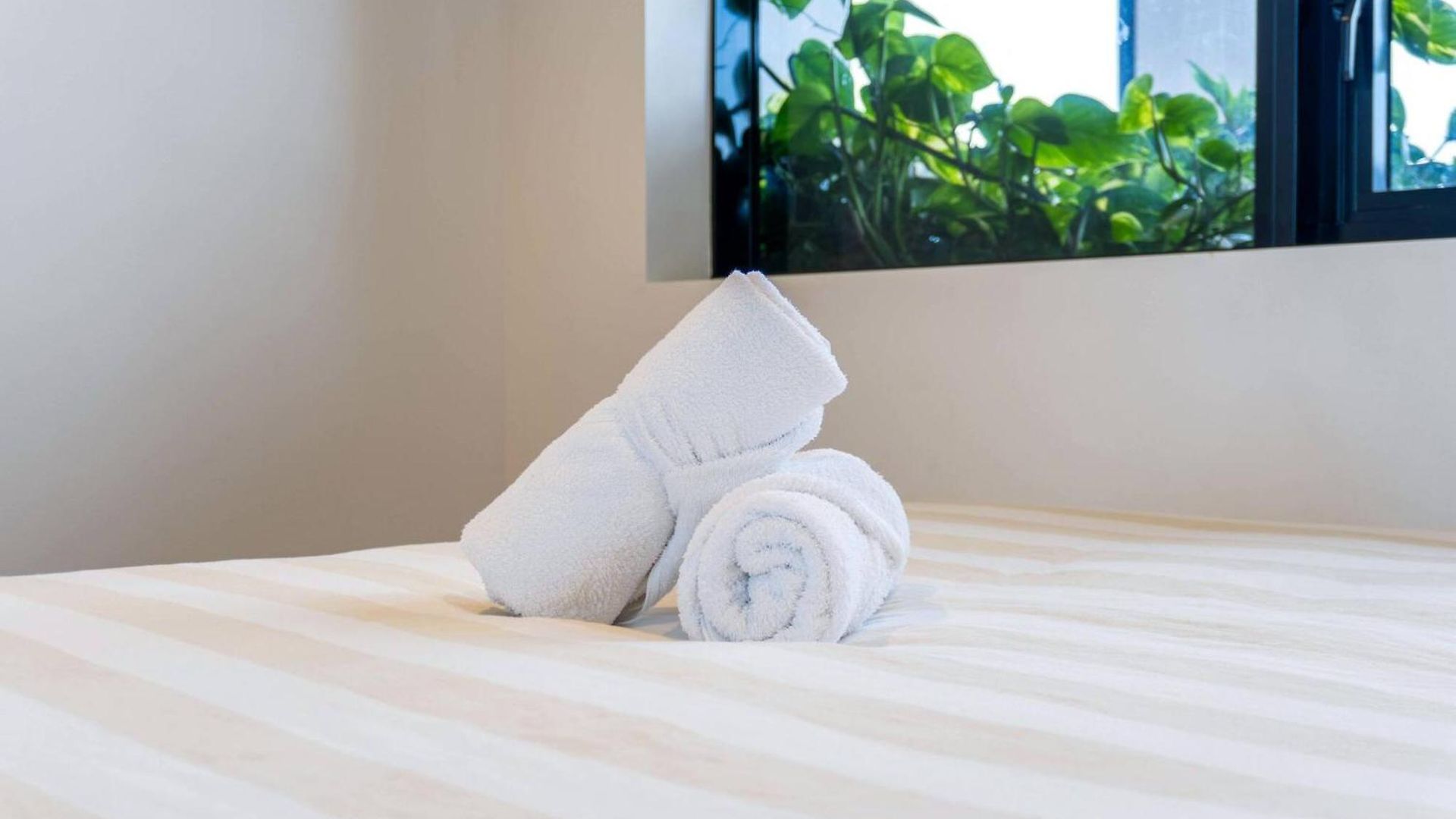 Urban Edge - Mins To Suncorp Stadium & Bne Apartment *