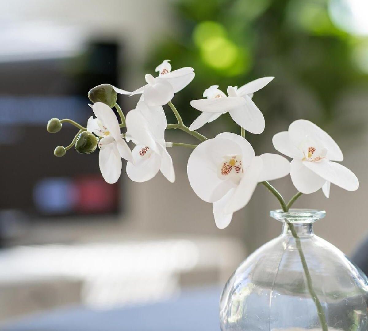 Tiny 1bd, 1ba In Clayfield, Near Cbd M2 Apartment *