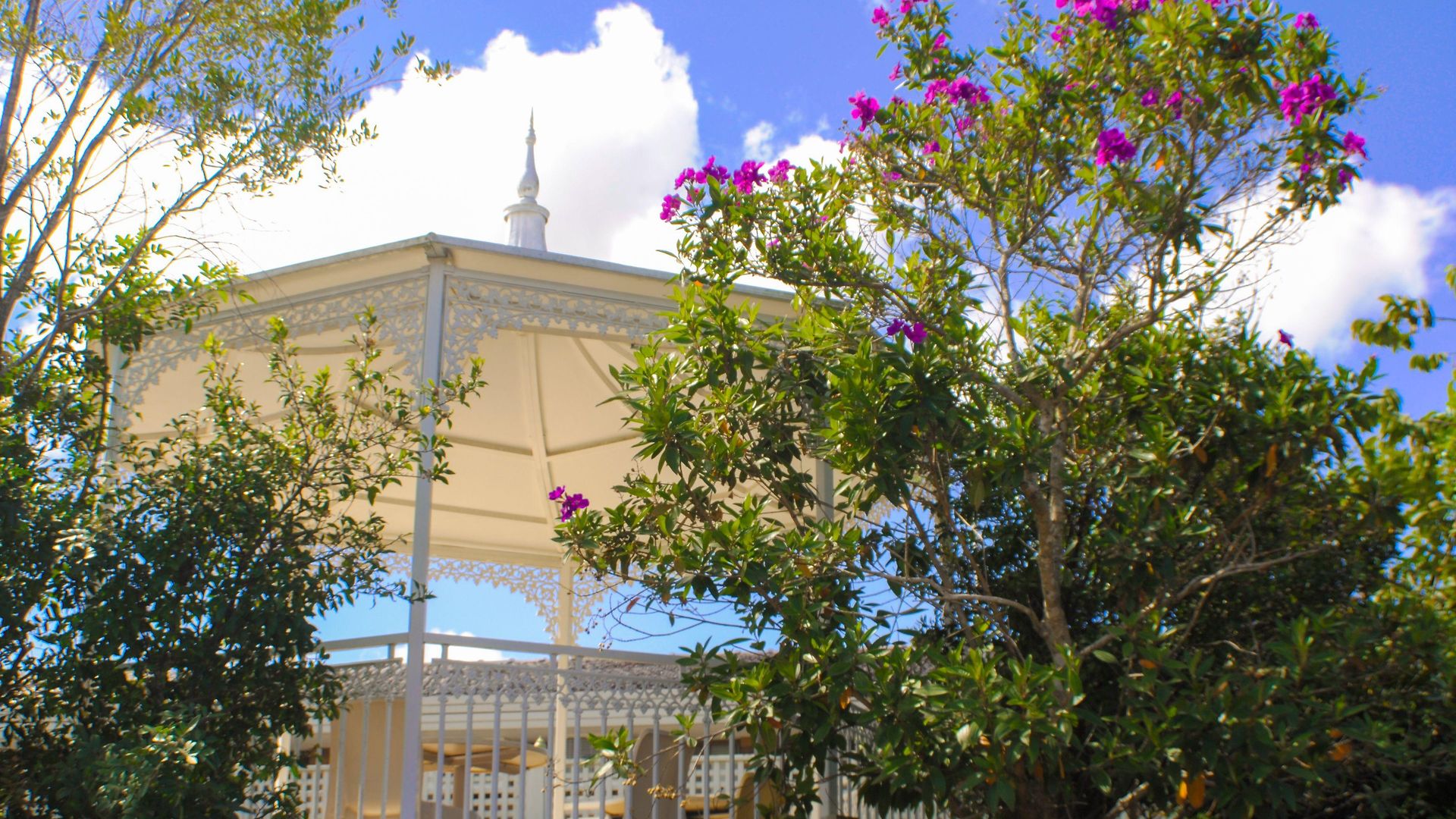 Sunnybank Star Brisbane