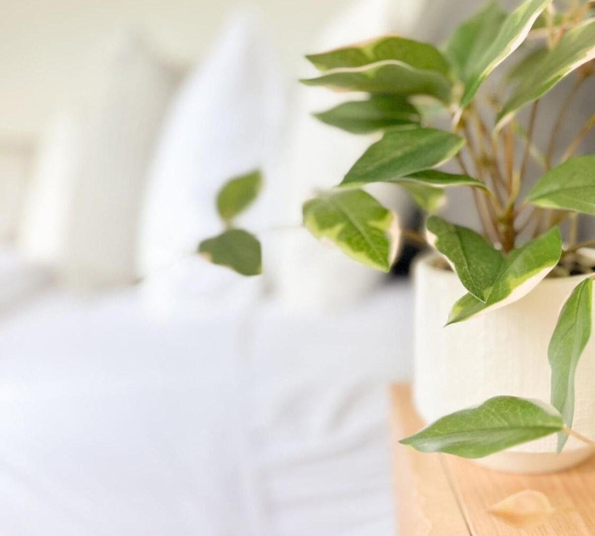 Apartment Mi Casa Su Casa - 2br Sleeps 6 - Free Parking - Cbd Brisbane