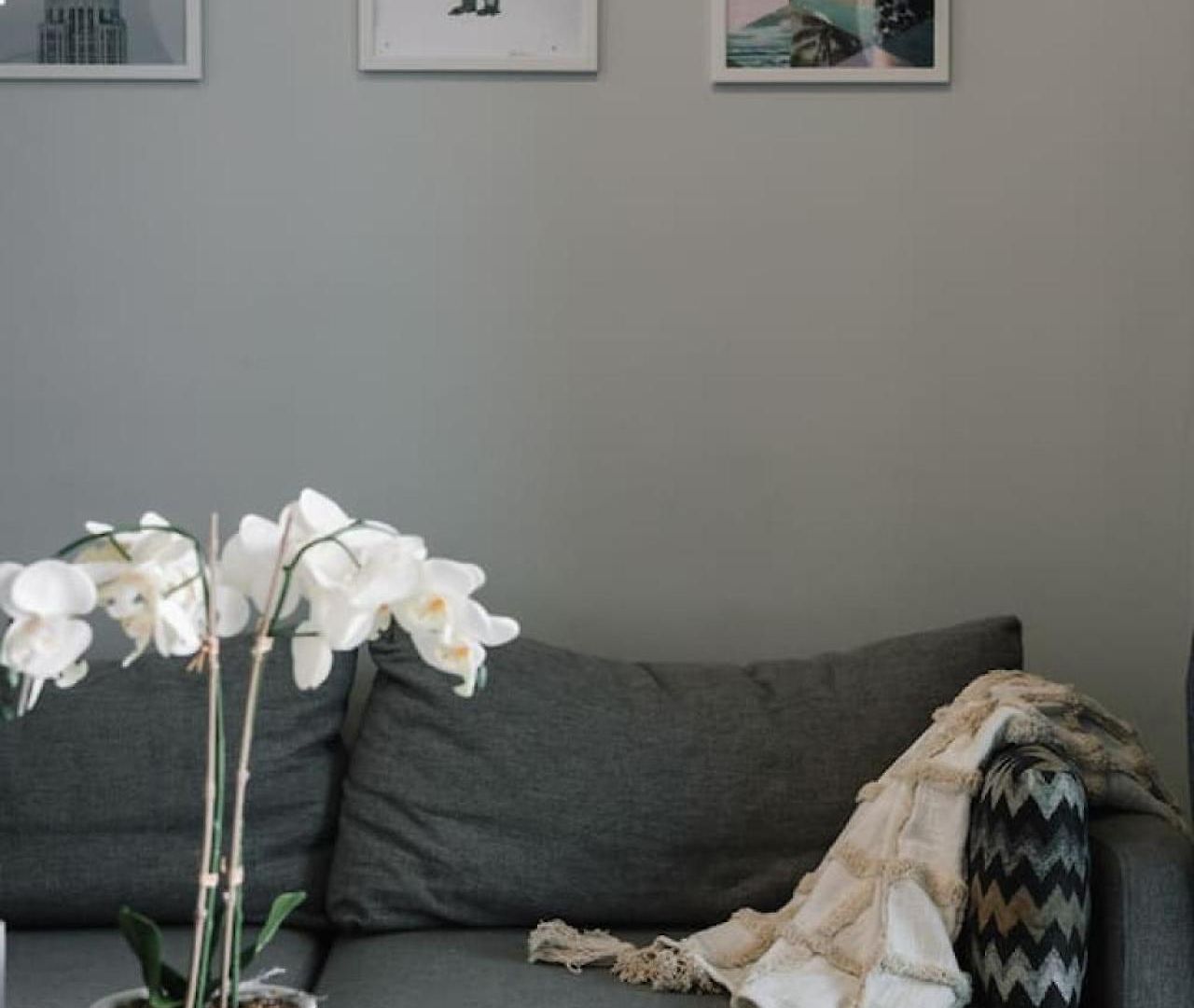 Stylish With Balcony Easy Access To Everywhere Apartment