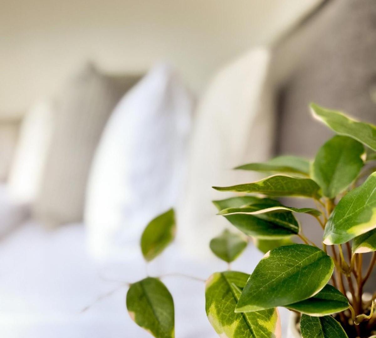Mi Casa Su Casa - 2br Sleeps 6 - Free Parking - Cbd Apartment *