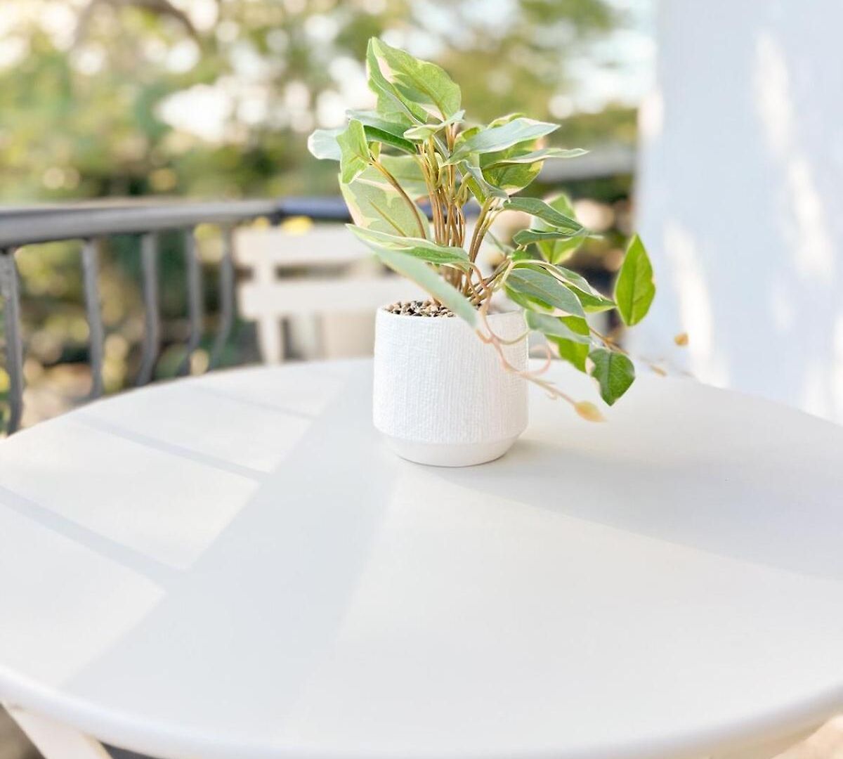 Mi Casa Su Casa - 2br Sleeps 6 - Free Parking - Cbd *
